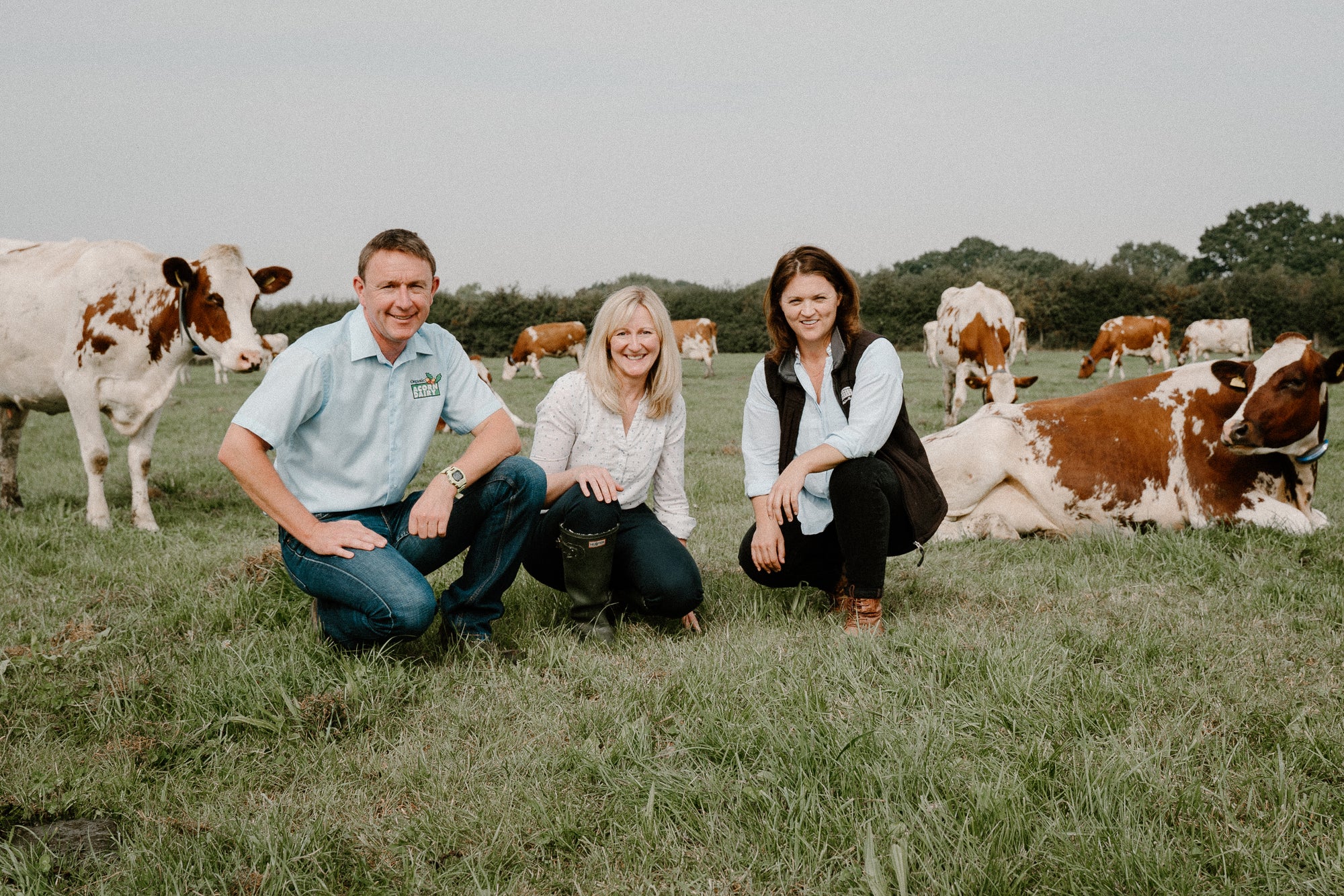 New Product Launch: The Journey of Organic Yorkshire Blue